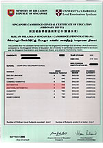 Maple's O-Level Certificate